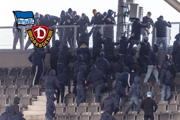 Hertha gegen Dynamo live: Schlägerei im Stadion vor dem Spiel
