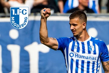 Dreiwöchige Länderspielpause: Diese FCM-Akteure reisen zum Nationalteam