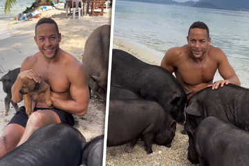Andrej Mangold: Andrej Mangold mutiert zum Schweinebändiger: Was macht der ehemalige Junggeselle hier?
