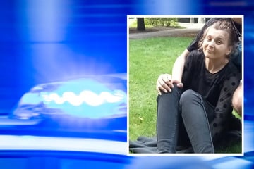 Wer hat Shawny aus Hamburg gesehen? Vermisste benötigt dringend Medikamente