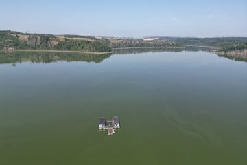 Akute Gesundheitsgefahr: In diesem Bereich des Bleilochstausees darf nicht gebadet werden
