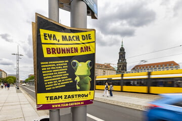 Poster-Ärger für Holger Zastrow: So reagiert der Politiker