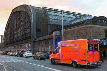 Mann tritt gegen S-Bahn und stirbt! Bruder muss alles mitansehen