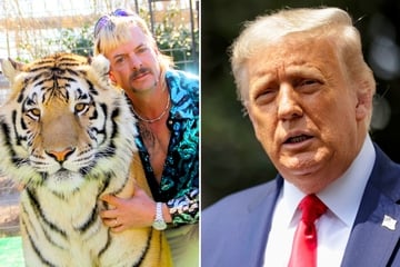 Will Trump pardon Tiger King star Joe Exotic and add him to his cabinet?