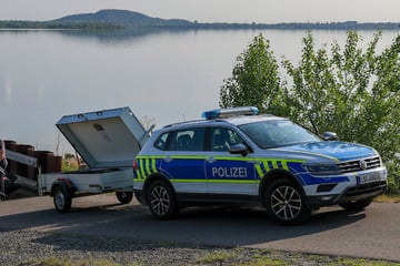 Suche nach Großkatze in Sachsen-Anhalt: Behörden sprechen sich ab