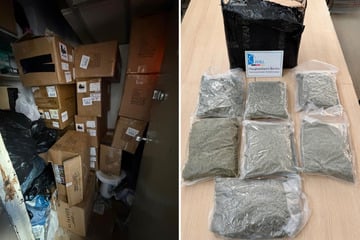 Riesige Beute bei Razzia: Zoll entdeckt kiloweise illegale Vapes und Cannabis in Shisha-Shop