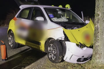 Autofahrerin fällt Glätte zum Opfer: Pflegefahrzeug kracht frontal gegen Baum