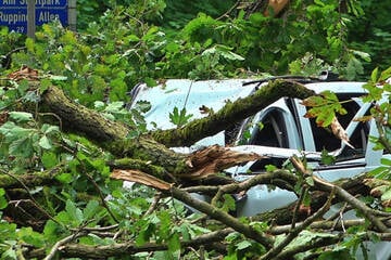 Dacia von Baum getroffen: Fahrer stirbt am Unfallort
