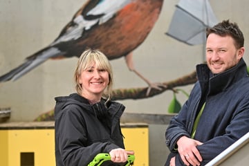 Dresden: Schluss mit Grau: Tierische Wand in der Neustädter Kita