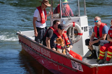 Traurige Gewissheit: Auch zweiter Student tot aus der Donau geborgen