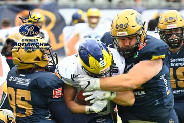 42:0! Monarchs demütigen die Hildesheim Invaders