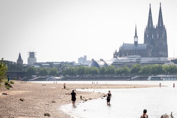 Erneute Warnung vor extremer Hitze in Köln: Was Wetterfrösche jetzt empfehlen