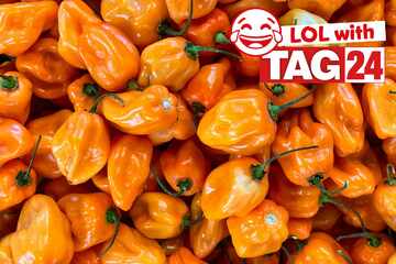 Joke of the Day for May 13, 2025: A spicy joke to make you laugh