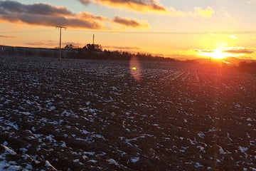 Thüringen-Wetter: Dreht der Januar zum Ende mit reichlich Sonne und blauem Himmel auf?