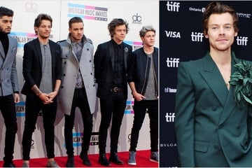 Will Harry Styles join One Direction bandmates in new Netflix reunion?