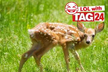 Joke of the Night for April 1, 2026: Ring ring! Funny is calling