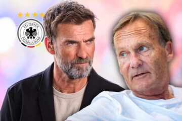 "Patriotismus-Abschlag": DFB-Vize Watzke macht Druck auf Red Bull und Jürgen Klopp
