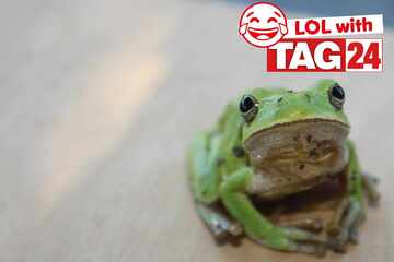 Joke of the Day for July 20, 2025: A funny joke for Sunday Funday