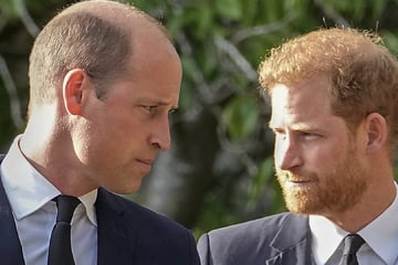 Harry will Versöhnung mit der Familie: Ist das mit William als König überhaupt noch möglich?