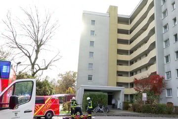 Bewohner starb bei Polizeieinsatz im November: Skelettierte Leiche in Messi-Wohnung entdeckt
