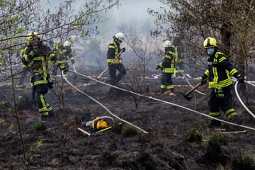 Waldbrand sorgt für Großeinsatz in Seligenstadt: Hubschrauber im Einsatz