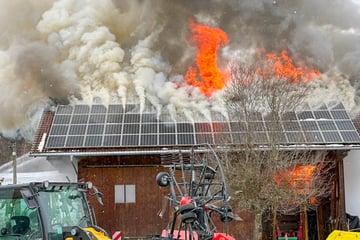 Inferno verursacht enormen Schaden: Lagerhalle mit Solarzellen brennt lichterloh