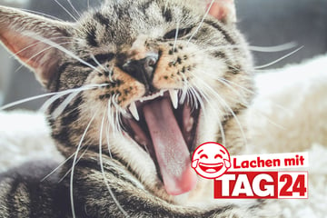 Witz des Tages vom 9.8.2024 - Täglich lachen mit TAG24