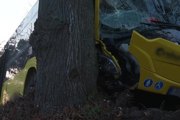 Linienbus kracht gegen Baum: Stundenlange Sperrung und sieben Verletzte
