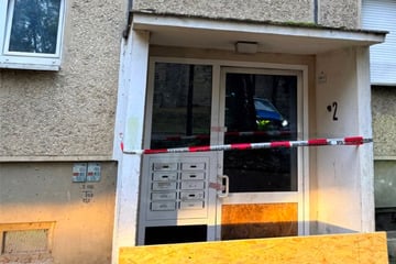 Zwei Kellerbrände nacheinander: 19 Bewohner, zwei Feuerwehrleute und ein Polizist verletzt