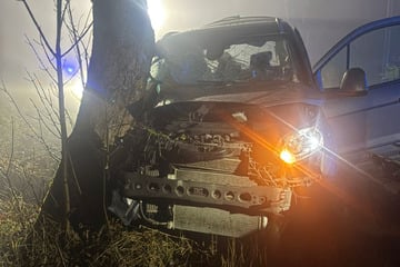 Dichter Nebel führt zu Unfall: Ford kollidiert mit Baum, Fahrer verletzt