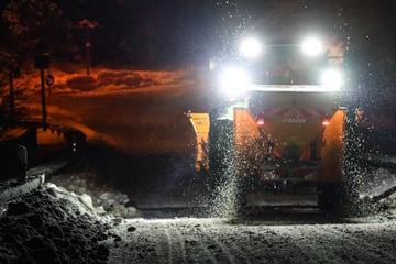 Räumfahrzeug touchiert Baum, Beifahrer fliegt raus
