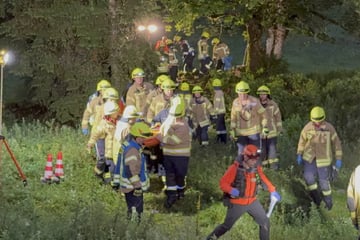 Drama nach Feier auf Alm: Baum begräbt Frau (24) in Hängematte unter sich