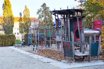 Leipzig: Nach Pilz-Befall: Leipziger Spielplatz endlich wieder nutzbar!