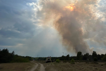 Feuer bei Jüterbog weitet sich aus: Waldbrand mehr als dreimal so groß wie der Tiergarten