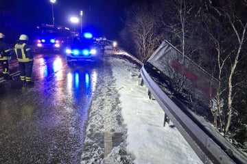 Mit 24 Tonnen Oliven beladen: Lkw durchbricht Leitplanke und landet im Graben