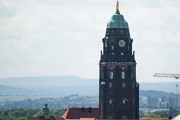 Dresden: Dresdner Rathausturm soll wieder dauerhaft öffnen: Wanderfalken bestimmen Starttermin