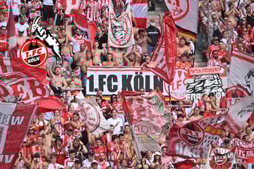 Europafieber beim 1. FC Köln: Geißböcke wollen internationalen Rekord knacken
