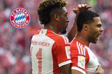 Comans klare Bayern-Botschaft und "Nichts Neues" bei Gnabry