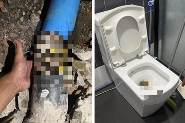 Toilette ist komplett verstopft: Der Grund wiegt 22 Kilogramm und bewegt sich