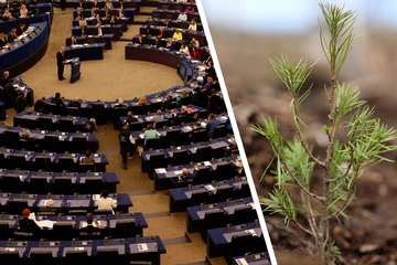 Umstrittenes Naturschutzgesetz von EU-Parlament beschlossen!