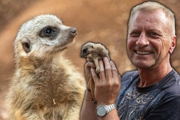 Leipzig: Nachwuchs bei Tierpfleger Jörg Gräser: Er trägt den Namen seines Uropas