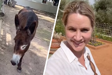 Zum 50. Geburtstag: Judith Rakers erfüllt sich großen Wunsch