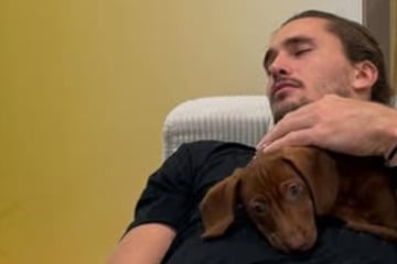 Alexander Zverev: Dackel Mishka schwer verletzt: Alexander Zverev und Sophia Thomalla bangen um ihren Hund