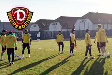 Dynamo-Dresden-Blog: Drohen die nächsten Ausfälle? Zwei Stammspieler fehlen angeschlagen