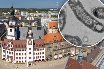Chemnitz: Weiterer Tuberkulosefall in Chemnitz: Wieder traf es die Pflegefachschule