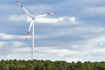Naturschutzbund will keine Windkraftanlagen in Sachsens Wäldern