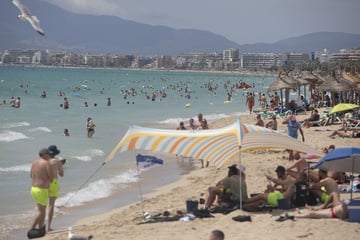 Biss-Attacke auf Mallorca: Urlauberin muss mit schwerer Wunde ins Krankenhaus