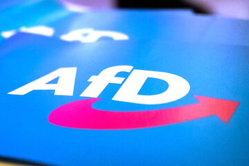 Kommission soll Vetternwirtschaft prüfen: AfD bleibt wortkarg