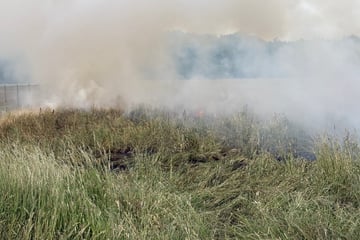 Abgefeuerte Silvesterraketen sorgen für riesigen Flächenbrand