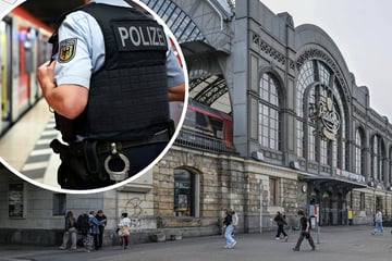 Dresden: Getreten und an den Haaren gezogen: Mann greift mehrere Frauen an Dresdner Bahnhöfen an